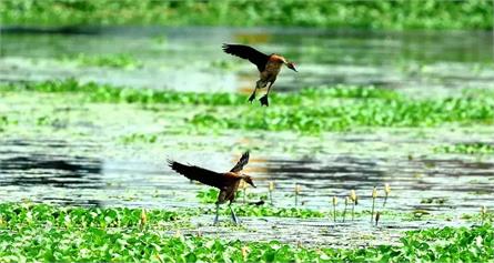 Nanda Lake